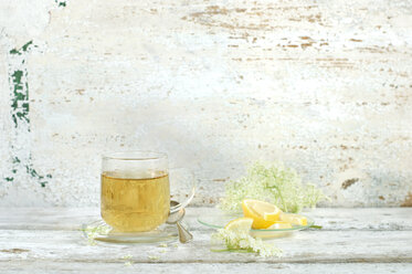 Glas Holunderblütentee, Holunderblüten und Zitronenscheiben - ASF06055