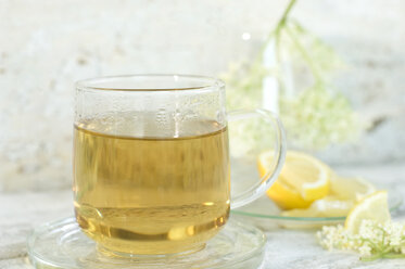 Glass of elder flower tea, elderflowers and lemon slices in the background - ASF06056