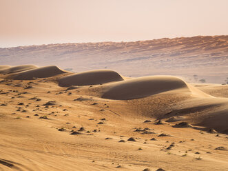 Oman, Al Raka,Dunes in Rimal Al Wahiba desert - AMF05079