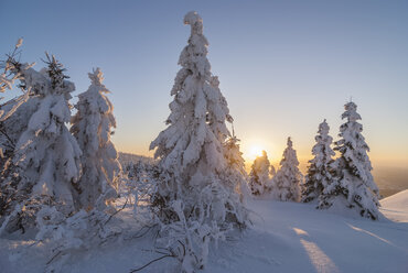 Deutschland, Niedersachsen, Nationalpark Harz, Wolfswarte im Winter bei Abenddämmerung - PVCF00934