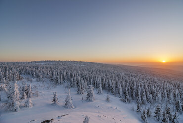 Germany, Lower Saxony, Harz National Park, Wolfswarte in winter at sunset - PVCF00935