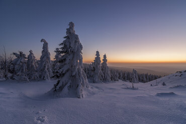 Germany, Lower Saxony, Harz National Park, Wolfswarte in winter at twilight - PVCF00936