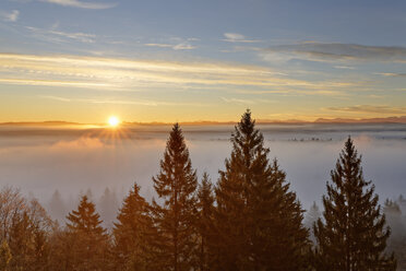 Deutschland, Icking, Isartal, Sonnenaufgang über der Pupplinger Au - SIEF07156