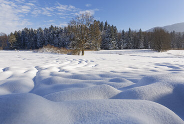 Deutschland, Oberbayern, Tölzer Land, Winterlandschaft - SIEF07160