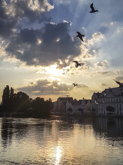 Deutschland, Landshut, Sonnenuntergang - SARF03071