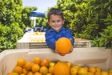 Junge auf Orangenplantage präsentiert Orange - ZEF11788