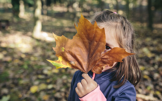 Kleines Mädchen versteckt ihr Gesicht hinter einem Herbstblatt - DAPF00471