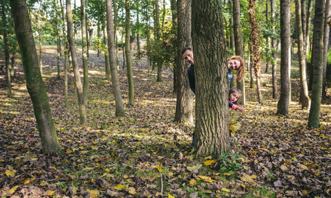 Parents and little daughter hiding together behind tree trunk stock photo