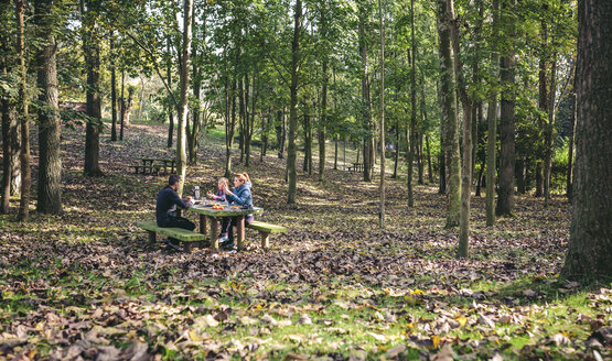Familie beim Picknick im Wald - DAPF00493