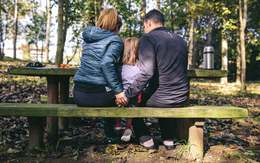 Back view of family having picnic in the woods - DAPF00495