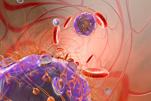 Virus, Erythrozyten und Sauerstoff im Blutkreislauf, 3D-Rendering - SPCF00138