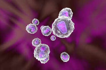 Monozyten - Abwehrzellen des Immunsystems, 3D Rendering - SPCF00139
