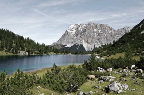 Österreich, Tirol, Ehrwald, Seebensee mit Zugspitze im Hintergrund, lizenzfreies Stockfoto