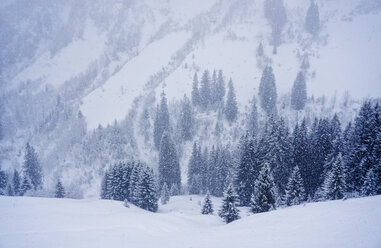 Österreich, Großes Walsertal, Damuls - FMKF03269