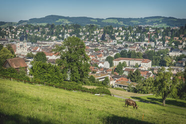 Schweiz, St. Gallen, Blick auf die Stadt von Drei Weieren - KEBF00424