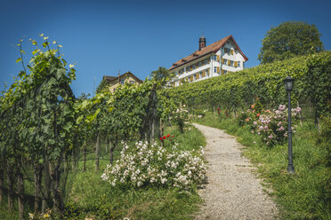 Schweiz, Wittenbach, Spazierweg zum Schloss Dottenwil - KEB00425