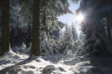 Deutschland, Thüringen, schneebedeckter Winterwald im morgendlichen Sonnenlicht - VTF00564