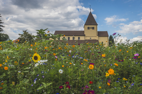 Deutschland, Baden-Württemberg, Insel Reichenau, Blumen auf der Wiese vor der St. Georgskirche, lizenzfreies Stockfoto