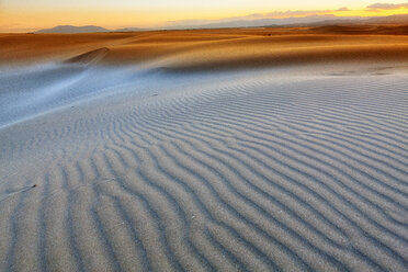 Spain, Tarragona, Ebro Delta, dune at sunset - DSGF01171