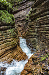 Österreich, Tennegau, Fluss Taugl - YRF00143