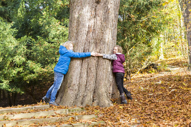 Zwei Kinder umarmen einen Baum im Herbst - SARF03077