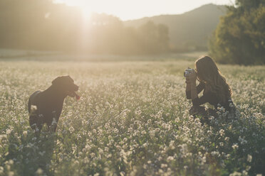 Junge Frau fotografiert ihren Hund in einem Blumenfeld in der Dämmerung - SKCF00225