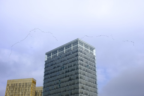 Luxemburg, Kranichformation fliegt über Wolkenkratzer, lizenzfreies Stockfoto