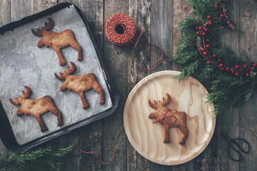 Weihnachtsplätzchen in Elchform - RTBF00548