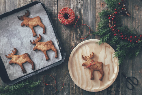 Elk-shaped Christmas cookies - RTBF00548