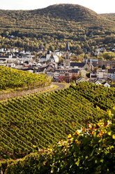 Germany, Bad Neuenahr-Ahrweiler, Town amidst vinyards - CSF27851