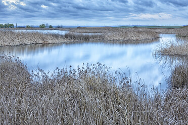 Spain, Laguna de la Nava - DSGF01189