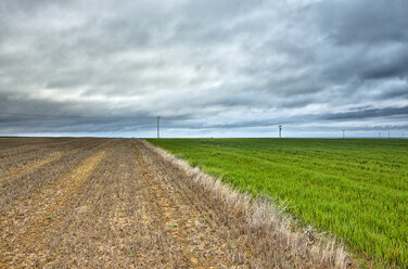 Spain, Province of Zamora, fields under cloudy sky - DSGF01197