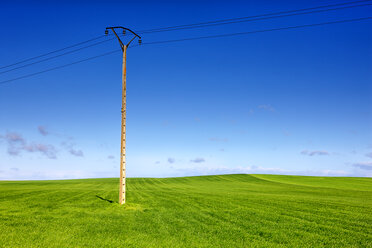 Spain, Province of Zamora, wheat field and power line - DSGF01205
