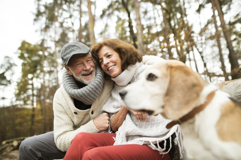 Glückliches Seniorenpaar mit Hund in der Natur, lizenzfreies Stockfoto