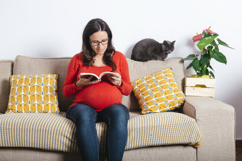 Schwangere Frau mit Katze liest ein Buch auf der Couch - GEMF01297