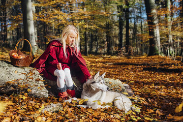 Rotkäppchen, Mädchen sitzt auf Baumstamm im Wald und streichelt Husky - MJF02085