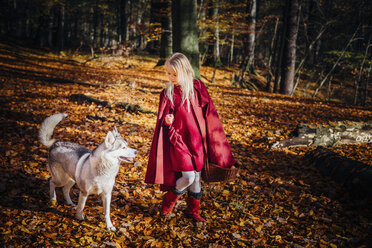 Rotkäppchen, Mädchen im Wald mit Husky - MJF02086