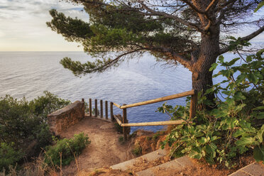 Spain, Costa Brava, Tossa de Mar, scenic little trail viewpoint at Mediterranean Se coast - ABOF00134