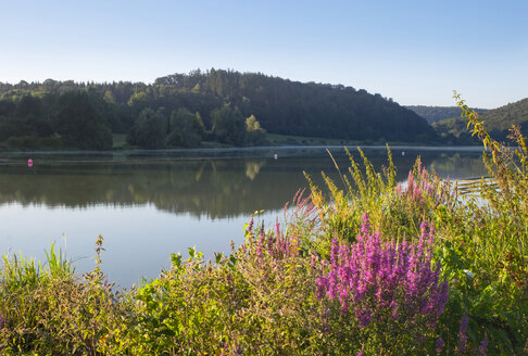 Deutschland, Bayern, Franken, Hechlingen, Hahnenkammsee - SIEF07203