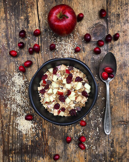 Müsli mit Apfel und Cranberries - LVF05691