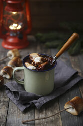 Heiße Schokolade mit feuergerösteten Marshmallows auf einem Holztisch - RTBF00554