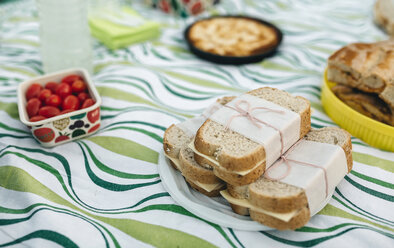 Picknick mit belegten Brötchen - DAPF00521