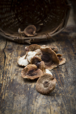 Shitake mushrooms on dark wood stock photo