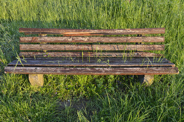 Überwucherte Bank auf einer Wiese - SHF01910