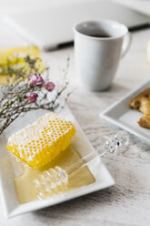 Honeycomb, honey dipper and honey on plate - JRFF01110