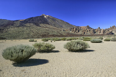 Spain, Tenerife, landscape at Teide National Park - DSGF01295