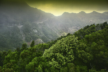 Spanien, Teneriffa, Taganana im Anaga-Gebirge - DSGF01306