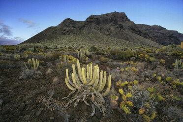 Spanien, Teneriffa, Teno-Gebirge von der Punta de Teno aus gesehen - DSGF01327