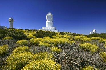 Spanien, Teneriffa, Sternwarte Teide - DSGF01341