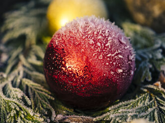 Rote Christbaumkugel mit Schnee - KRPF02078